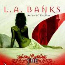 The Hunted cover picture