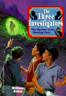 The Mystery of Moaning Cave cover picture