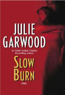 Slow Burn cover picture