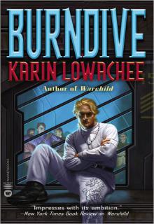 Burndive cover picture