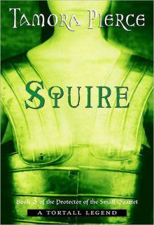 Squire cover picture