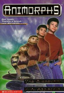 The Discovery cover picture