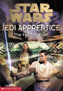 The Hidden Past cover picture