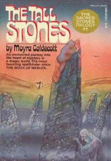 The Tall Stones cover picture