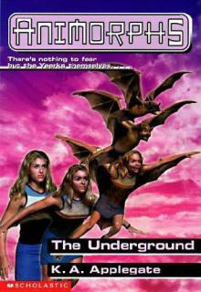 The Underground cover picture