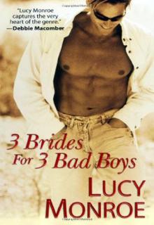 3 Brides for 3 Bad Boys book cover