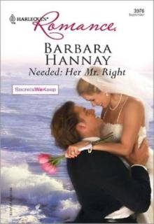 Needed: Her Mr. Right book cover