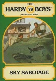 Sky Sabotage book cover