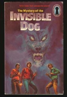 The Mystery of the Invisible Dog book cover