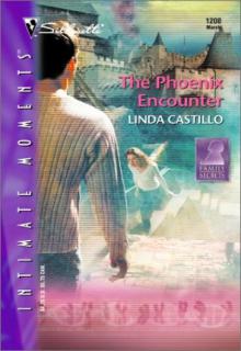 The Phoenix Encounter book cover