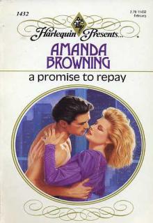 A Promise to Repay cover picture
