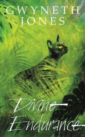Divine Endurance