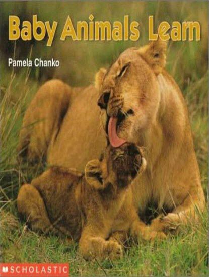 Baby Animals Learn
