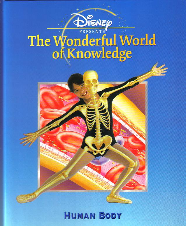 Human Body
