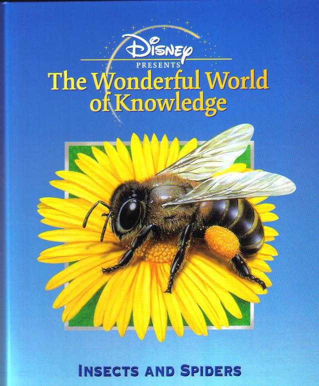 Insects and Spiders