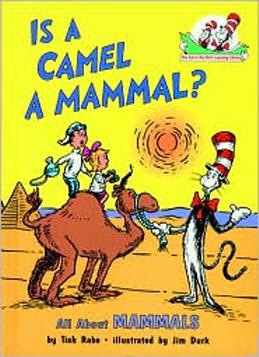 Is a Camel a Mammal