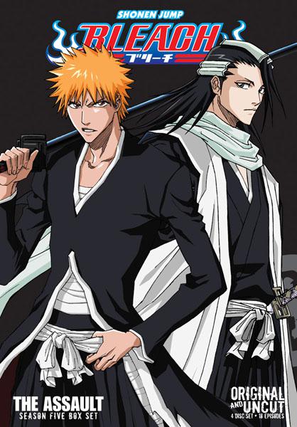 Bleach Season 5 The Assault