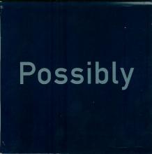 Possibly Maybe (Calcutta Cyber Cafe Mix) Possibly Maybe (Calcutta Cyber Cafe Mix) cover picture