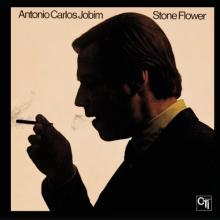 Amparo Amparo cover picture