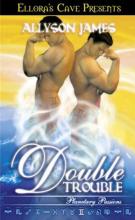 Double Trouble Double Trouble cover picture