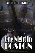 One Night In Boston One Night In Boston cover picture