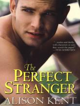 The Perfect Stranger The Perfect Stranger cover picture