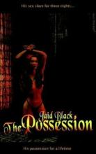 The Possession The Possession cover picture