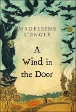 A Wind In The Door A Wind In The Door cover picture