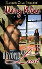 Beyond Boundaries Beyond Boundaries cover picture