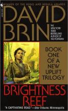 Brightness Reef Brightness Reef cover picture
