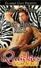 First Moon Rise First Moon Rise cover picture