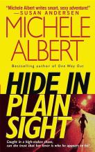 Hide In Plain Sight Hide In Plain Sight cover picture