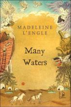 Many Waters Many Waters cover picture