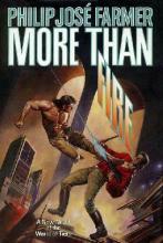 More Than Fire More Than Fire cover picture