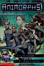 The Illusion The Illusion cover picture