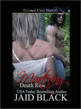 The Mastering The Mastering cover picture