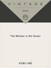The Woman In The Dunes The Woman In The Dunes cover picture