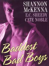 Baddest Bad Boys Baddest Bad Boys book cover