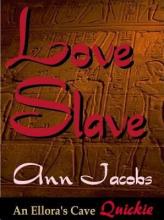 Love Slave Love Slave book cover