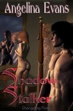 Shadow Stalker Shadow Stalker book cover