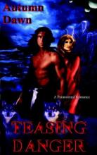 Teasing Danger Teasing Danger book cover