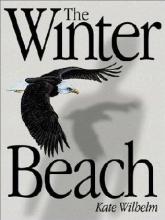 Winter Beach Winter Beach cover picture