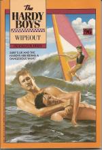 Wipeout Wipeout book cover