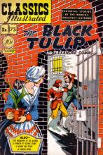 The Black Tulip The Black Tulip cover picture