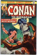 The Warrior and the Were Woman The Warrior and the Were Woman cover picture