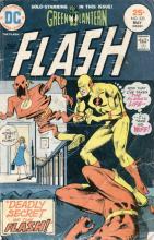 The Deadly Secret of the Flash The Deadly Secret of the Flash cover picture
