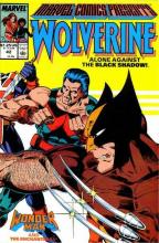 Marvel Comics Presents 042 cover picture