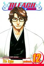 Bleach Volume 12 Bleach Volume 12 cover picture