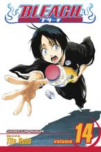 Bleach Volume 14 Bleach Volume 14 cover picture