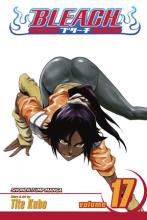 Bleach Volume 17 Bleach Volume 17 cover picture